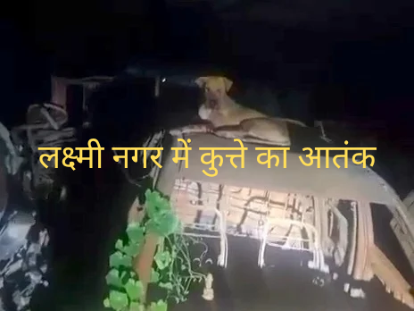 लक्ष्मी नगर में कुत्ते का आतंक, 5 साल का बच्चा और सब्जीवाले पर हमला