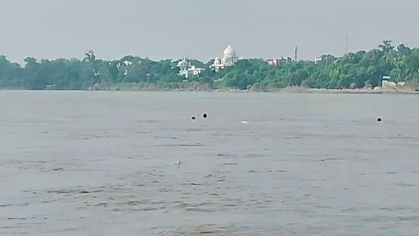 सिग्नेचर ब्रिज से महिला ने लगाई यमुना में छलांग, रेस्क्यू ऑपरेशन जारी