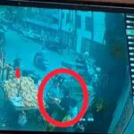कृष्णा नगर विधायक कार्यालय के पास दिनदहाड़े iPhone चोरी, CCTV में कैद